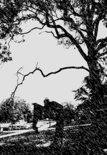 Black Candle (USA) : Demo 2019